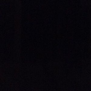 Meet your Posher, Abbey